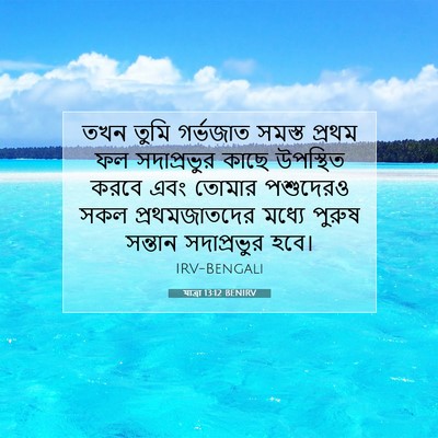 Picture 07 - যাত্ৰা 13:12 BENIRV - তখন তুমি গর্ভজাত - Bible Verse Picture