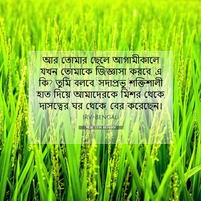 Picture 07 - যাত্ৰা 13:14 BENIRV - আর তোমার ছেলে - Bible Verse Picture