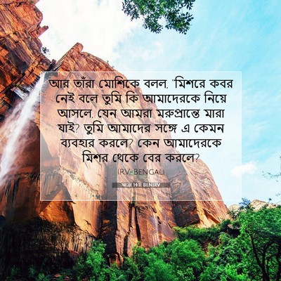 Picture 07 - যাত্ৰা 14:11 BENIRV - আর তাঁরা মোশিকে - Bible Verse Picture