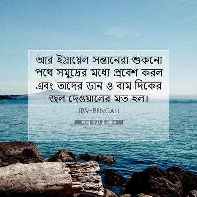 Picture 07 - যাত্ৰা 14:22 BENIRV - আর ইস্রায়েল - Bible Verse Picture
