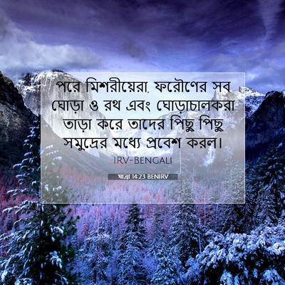 Picture 07 - যাত্ৰা 14:23 BENIRV - পরে মিশরীয়েরা, - Bible Verse Picture