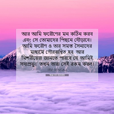 Picture 07 - যাত্ৰা 14:4 BENIRV - আর আমি ফরৌণের মন - Bible Verse Picture