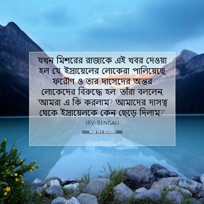 Picture 07 - যাত্ৰা 14:5 BENIRV - যখন মিশরের রাজাকে - Bible Verse Picture