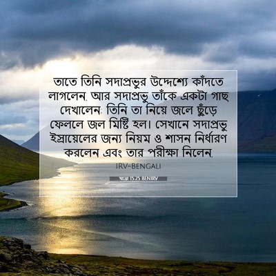 Picture 07 - যাত্ৰা 15:25 BENIRV - তাতে তিনি - Bible Verse Picture