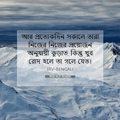 Picture 07 - যাত্ৰা 16:21 BENIRV - আর প্রত্যেকদিন - Bible Verse Picture