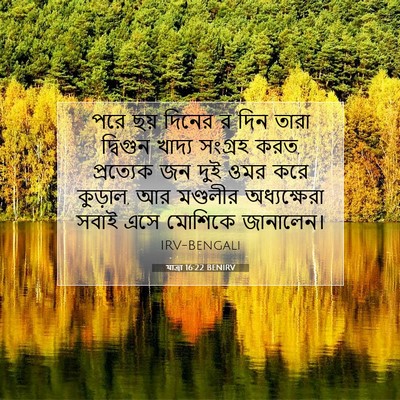 Picture 07 - যাত্ৰা 16:22 BENIRV - পরে ছয় দিনের র দিন - Bible Verse Picture