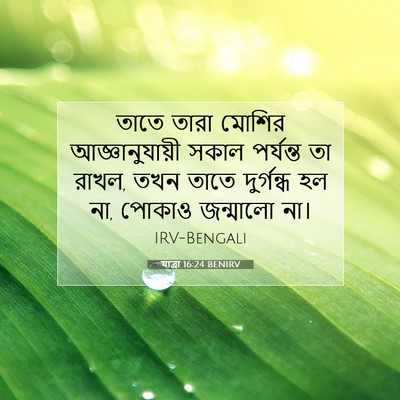 Picture 07 - যাত্ৰা 16:24 BENIRV - তাতে তারা মোশির - Bible Verse Picture