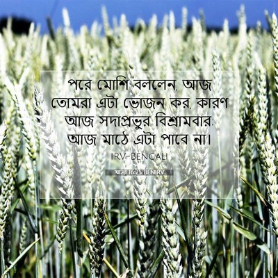Picture 07 - যাত্ৰা 16:25 BENIRV - পরে মোশি বললেন, আজ - Bible Verse Picture