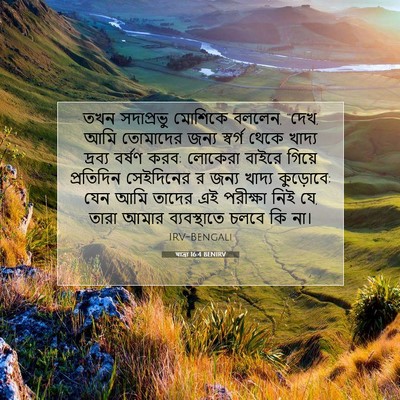 Picture 07 - যাত্ৰা 16:4 BENIRV - তখন সদাপ্রভু - Bible Verse Picture