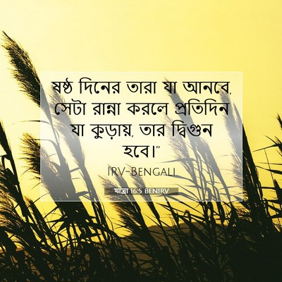 Picture 07 - যাত্ৰা 16:5 BENIRV - ষষ্ঠ দিনের তারা যা - Bible Verse Picture