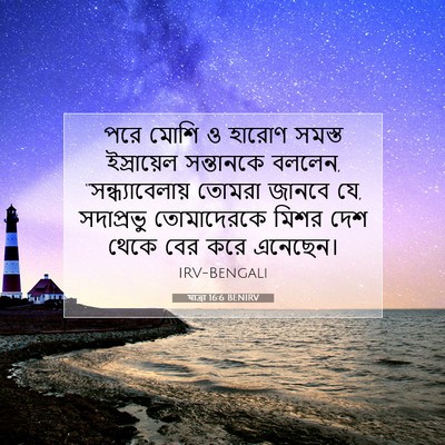 Picture 07 - যাত্ৰা 16:6 BENIRV - পরে মোশি ও হারোণ - Bible Verse Picture