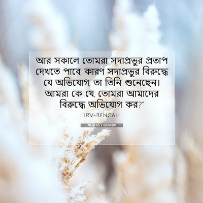 Picture 07 - যাত্ৰা 16:7 BENIRV - আর সকালে তোমরা - Bible Verse Picture