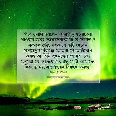 Picture 07 - যাত্ৰা 16:8 BENIRV - পরে মোশি বললেন, - Bible Verse Picture