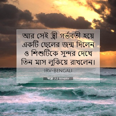 Picture 07 - যাত্ৰা 2:2 BENIRV - আর সেই স্ত্রী - Bible Verse Picture