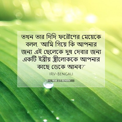 Picture 07 - যাত্ৰা 2:7 BENIRV - তখন তার দিদি - Bible Verse Picture