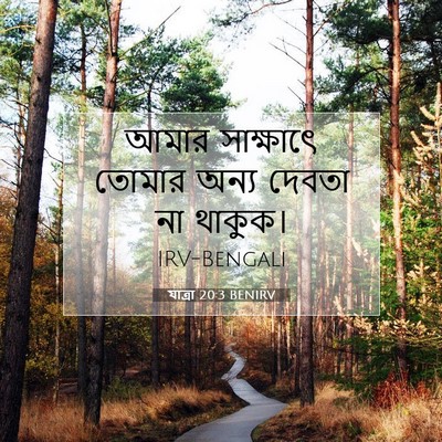 Picture 07 - যাত্ৰা 20:3 BENIRV - আমার সাক্ষাৎে - Bible Verse Picture