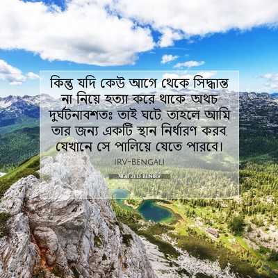 Picture 07 - যাত্ৰা 21:13 BENIRV - কিন্তু যদি কেউ আগে - Bible Verse Picture