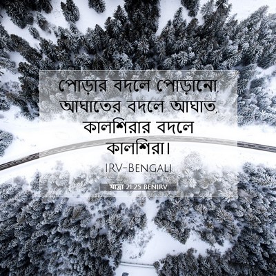 Picture 07 - যাত্ৰা 21:25 BENIRV - পোড়ার বদলে - Bible Verse Picture
