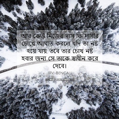 Picture 07 - যাত্ৰা 21:26 BENIRV - আর কেউ নিজের দাস কি - Bible Verse Picture