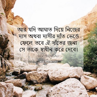Picture 07 - যাত্ৰা 21:27 BENIRV - আর যদি আঘাত দিয়ে - Bible Verse Picture