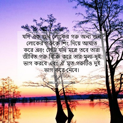 Picture 07 - যাত্ৰা 21:35 BENIRV - যদি এক জন লোকের গরু - Bible Verse Picture