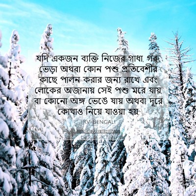 Picture 07 - যাত্ৰা 22:10 BENIRV - যদি একজন ব্যক্তি - Bible Verse Picture