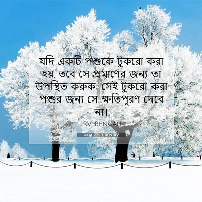 Picture 07 - যাত্ৰা 22:13 BENIRV - যদি একটি পশুকে - Bible Verse Picture
