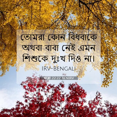 Picture 07 - যাত্ৰা 22:22 BENIRV - তোমরা কোন বিধবাকে - Bible Verse Picture