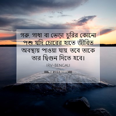 Picture 07 - যাত্ৰা 22:4 BENIRV - গরু, গাধা বা ভেড়া, - Bible Verse Picture