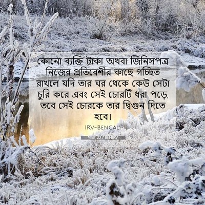 Picture 07 - যাত্ৰা 22:7 BENIRV - কোনো ব্যক্তি টাকা - Bible Verse Picture