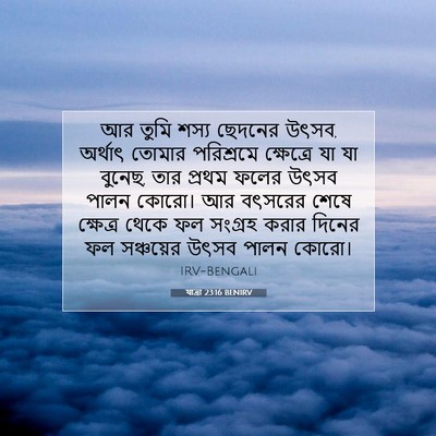 Picture 07 - যাত্ৰা 23:16 BENIRV - আর তুমি শস্য - Bible Verse Picture