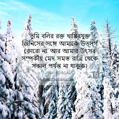 Picture 07 - যাত্ৰা 23:18 BENIRV - তুমি বলির রক্ত - Bible Verse Picture
