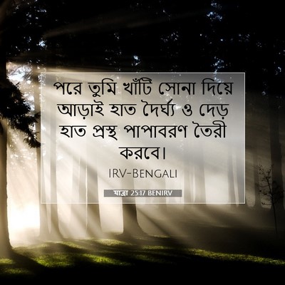 Picture 07 - যাত্ৰা 25:17 BENIRV - পরে তুমি খাঁটি - Bible Verse Picture