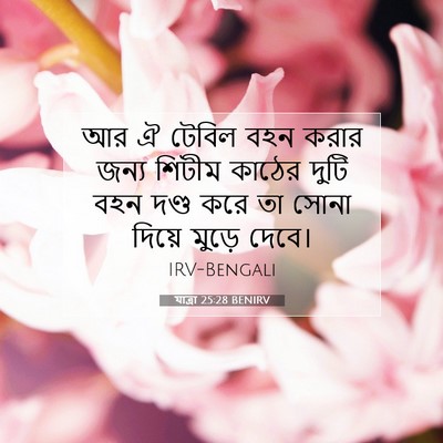 Picture 07 - যাত্ৰা 25:28 BENIRV - আর ঐ টেবিল বহন করার - Bible Verse Picture