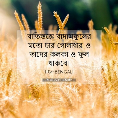 Picture 07 - যাত্ৰা 25:34 BENIRV - বাতিস্তম্ভে - Bible Verse Picture