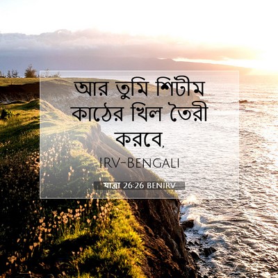 Picture 07 - যাত্ৰা 26:26 BENIRV - আর তুমি শিটীম - Bible Verse Picture