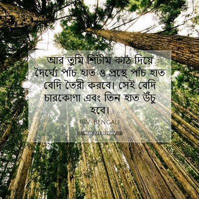 Picture 07 - যাত্ৰা 27:1 BENIRV - আর তুমি শিটীম কাঠ - Bible Verse Picture