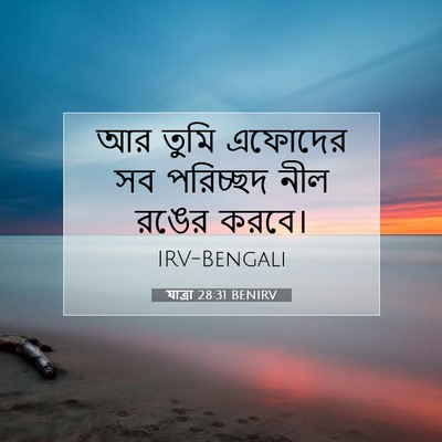 Picture 07 - যাত্ৰা 28:31 BENIRV - আর তুমি এফোদের সব - Bible Verse Picture