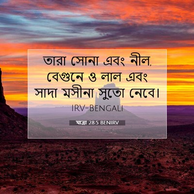 Picture 07 - যাত্ৰা 28:5 BENIRV - তারা সোনা এবং নীল, - Bible Verse Picture