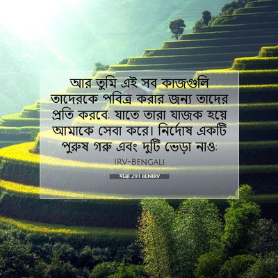 Picture 07 - যাত্ৰা 29:1 BENIRV - আর তুমি এই সব - Bible Verse Picture