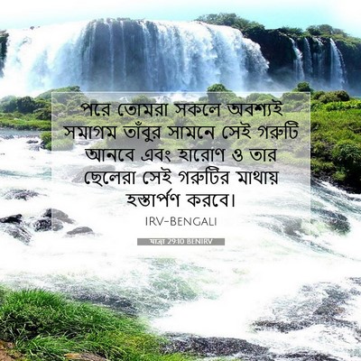 Picture 07 - যাত্ৰা 29:10 BENIRV - পরে তোমরা সকলে - Bible Verse Picture