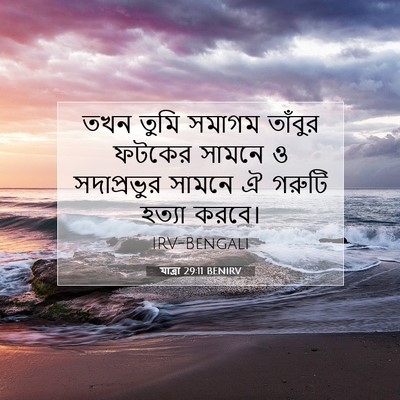 Picture 07 - যাত্ৰা 29:11 BENIRV - তখন তুমি সমাগম - Bible Verse Picture