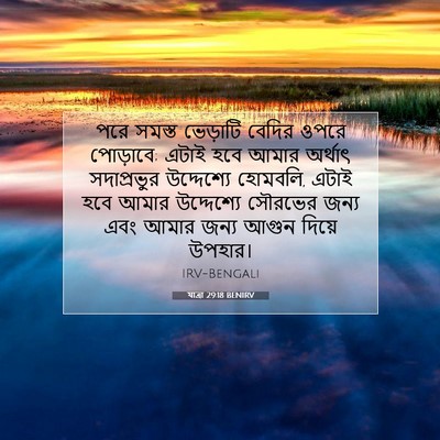 Picture 07 - যাত্ৰা 29:18 BENIRV - পরে সমস্ত ভেড়াটি - Bible Verse Picture