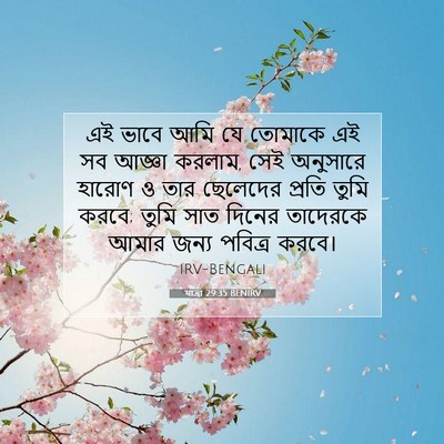 Picture 07 - যাত্ৰা 29:35 BENIRV - এই ভাবে আমি যে - Bible Verse Picture