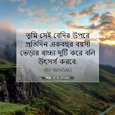 Picture 07 - যাত্ৰা 29:38 BENIRV - তুমি সেই বেদির - Bible Verse Picture