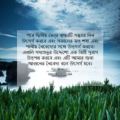 Picture 07 - যাত্ৰা 29:41 BENIRV - পরে দ্বিতীয় - Bible Verse Picture