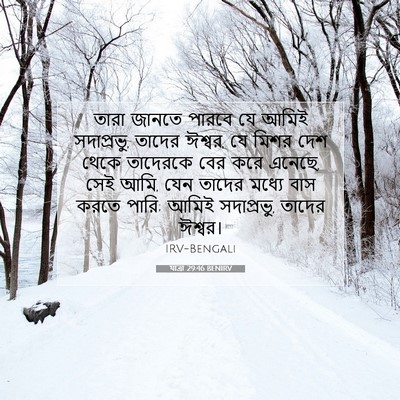 Picture 07 - যাত্ৰা 29:46 BENIRV - তারা জানতে পারবে - Bible Verse Picture