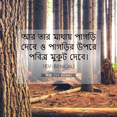 Picture 07 - যাত্ৰা 29:6 BENIRV - আর তার মাথায় - Bible Verse Picture