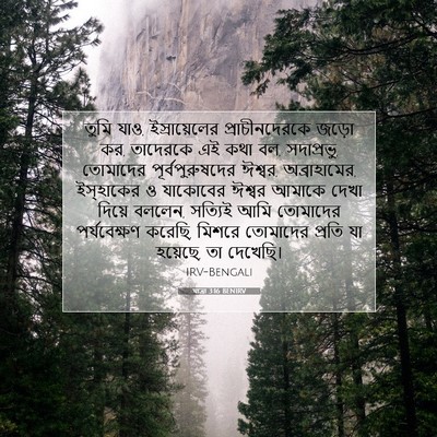 Picture 07 - যাত্ৰা 3:16 BENIRV - তুমি যাও, - Bible Verse Picture