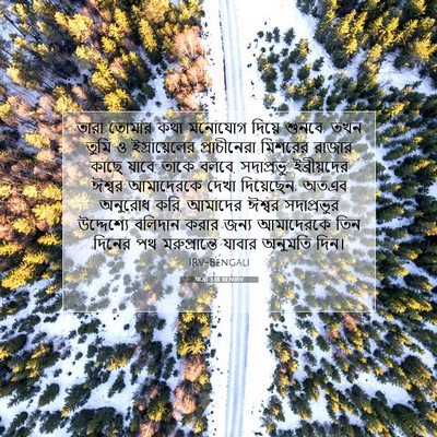 Picture 07 - যাত্ৰা 3:18 BENIRV - তারা তোমার কথা - Bible Verse Picture